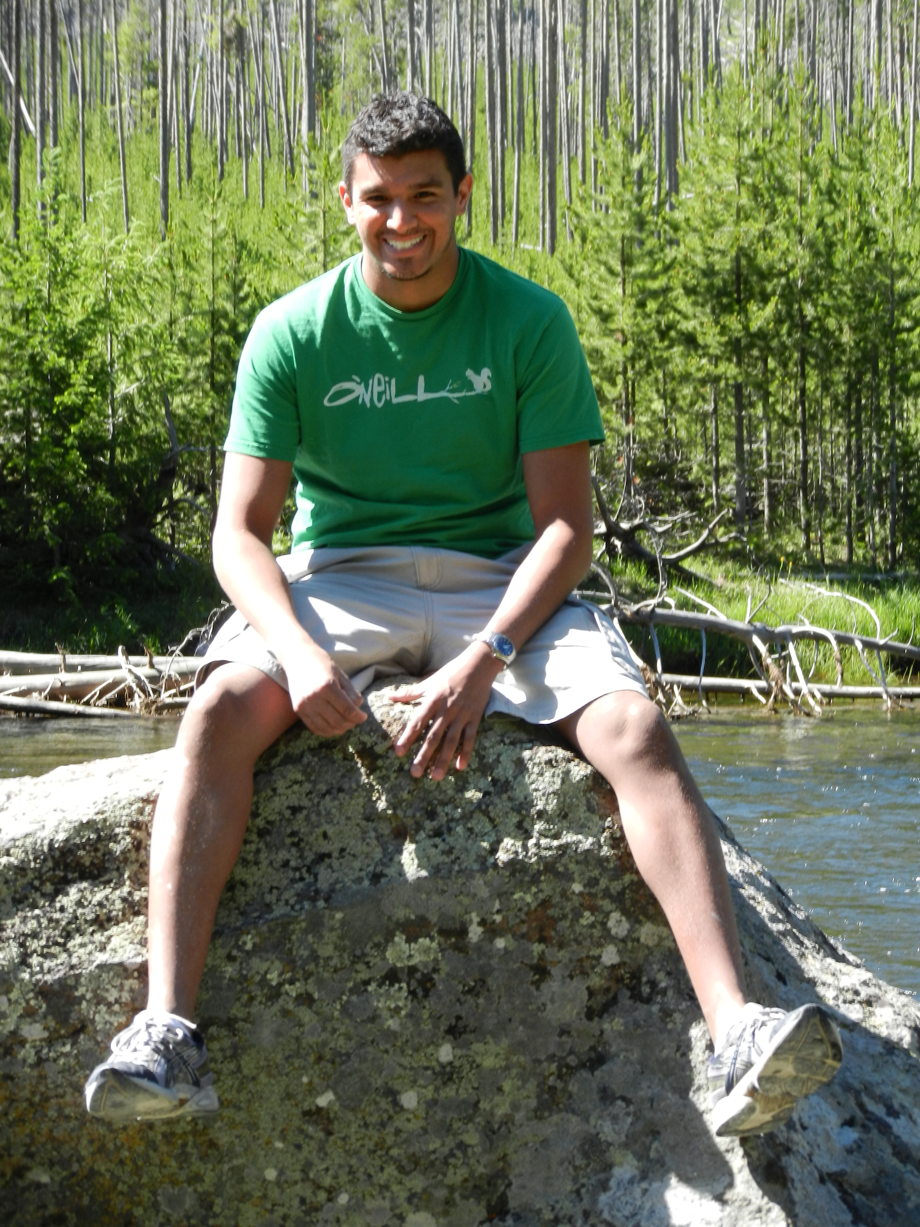 Last Vacation in Yellow Stone